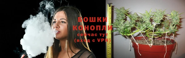 крисы Вязники