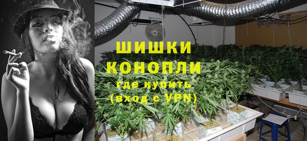 спайс Вяземский