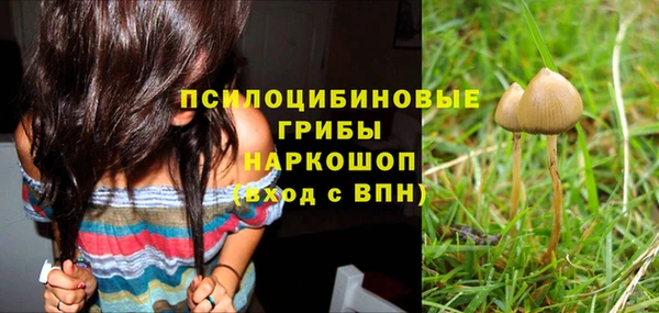 jwh Горнозаводск
