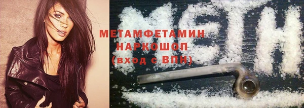 индика Волоколамск
