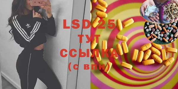 спайс Вяземский