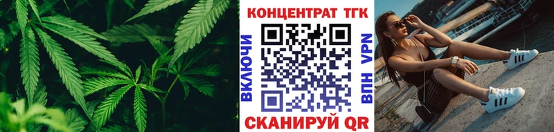 Купить где  Можайск  ТГК концентрат 