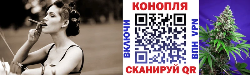 Шишки марихуана план Купить где Можайск